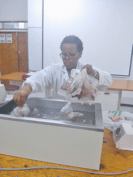 Putting meat samples in the water-bath in prep for tenderness analysis