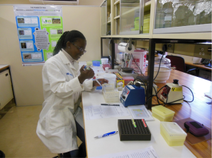 Practice makes perfect