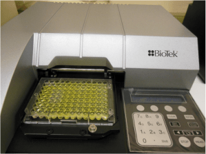 The moment of truth... my hard work about to be interpreted...