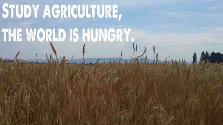 The World is Hungry_lower.jpg