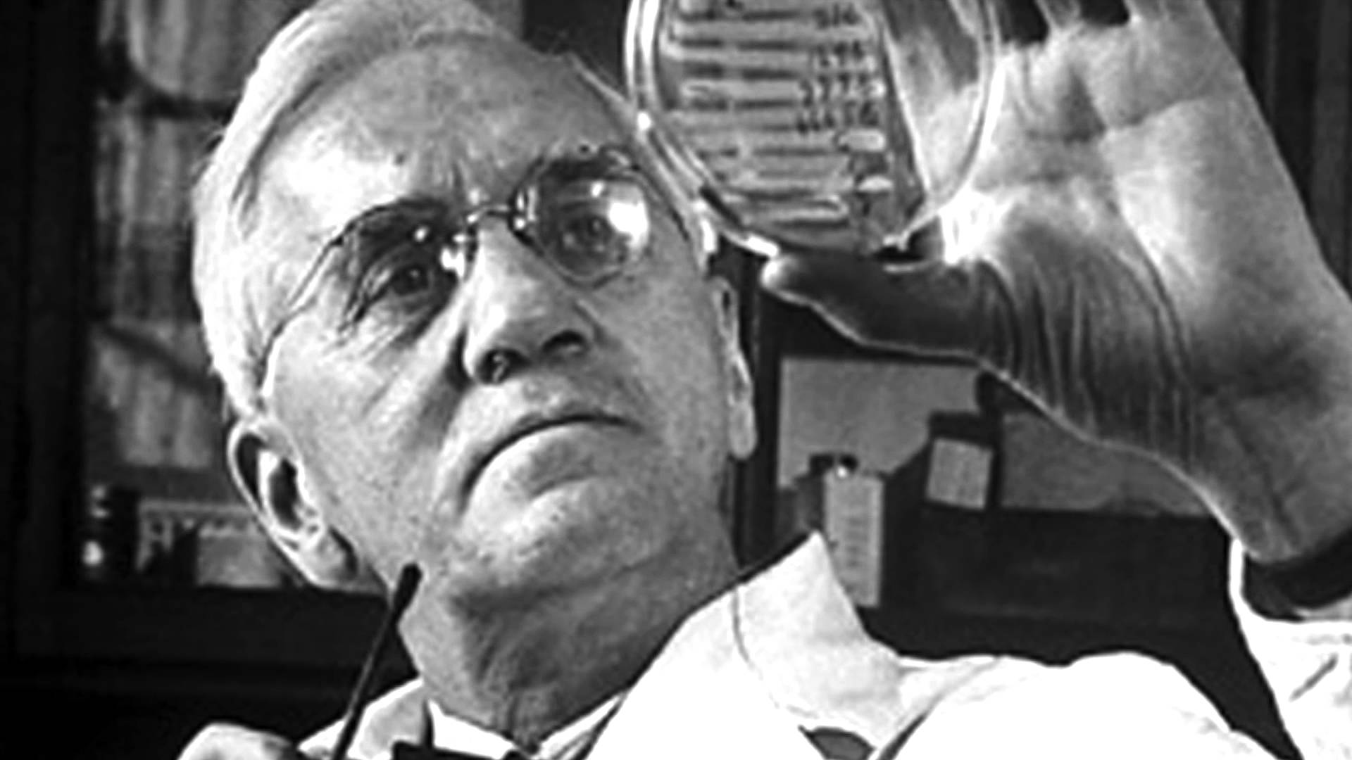 Celebrate the stories in science, no matter how small or great – SAYAS BLOG