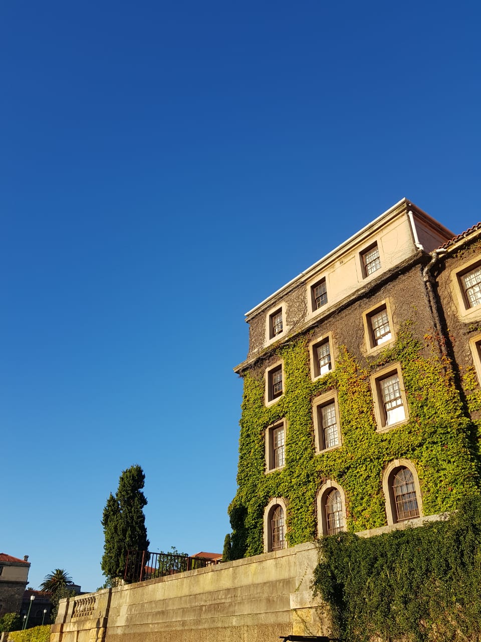 WhatsApp Image 2019-02-20 at 20.30.47(1).jpeg