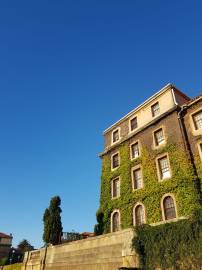 WhatsApp Image 2019-02-20 at 20.30.47(1).jpeg